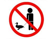 No Pissing