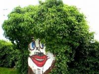 Häuschen hat  die  Haare  schön