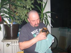 Das ist big-tom